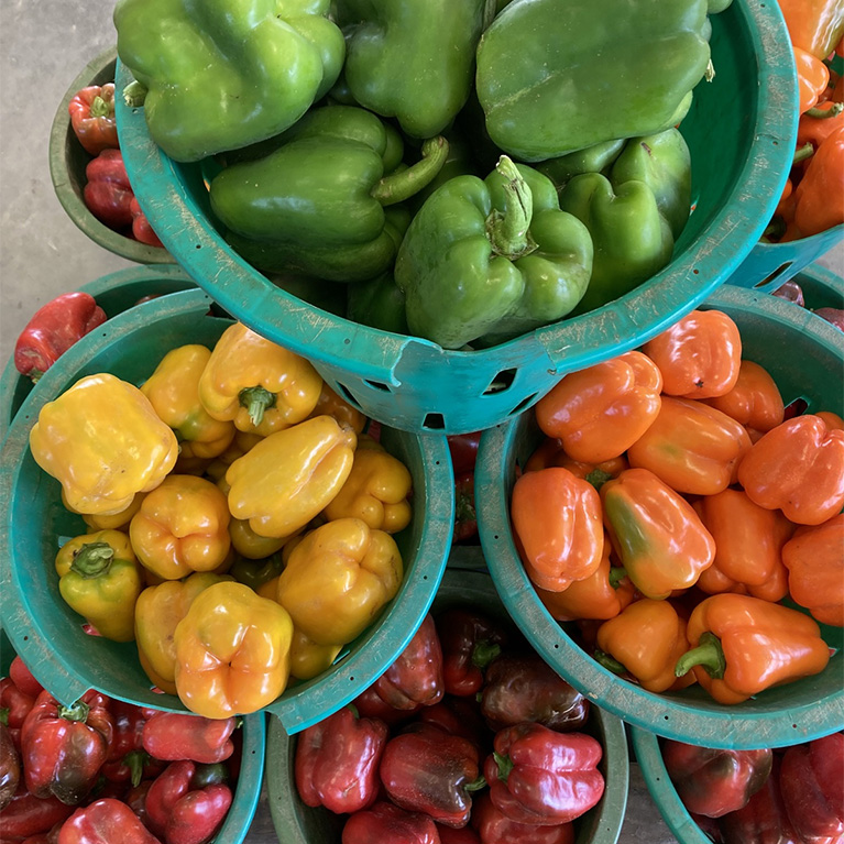 Farm Fresh bell peppers