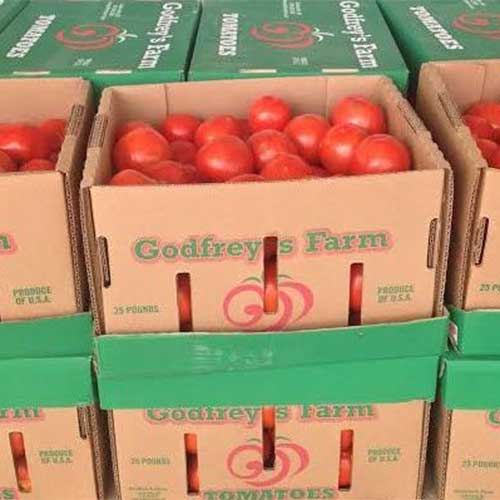 Wholesale Tomatoes grown locally.