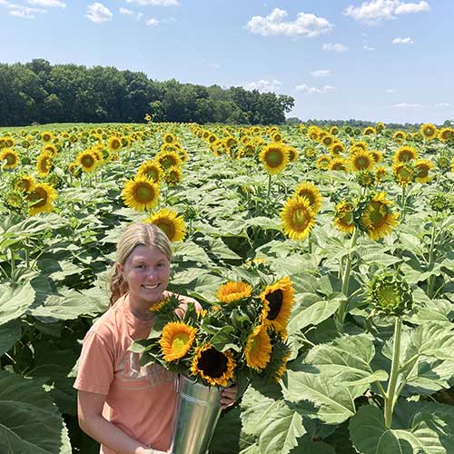 Godfrey's Farm-Locally Grown Fresh Fruit, Vegetables, Flowers & Plants ...